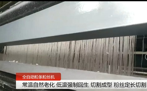 全自動紅薯粉條機 全自動紅薯粉條機