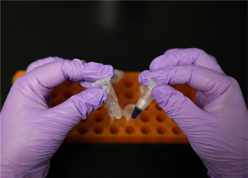 厲害了我的國(guó)！西北風(fēng)真能喝飽了，中國(guó)首次實(shí)現(xiàn)二氧化碳人工合成淀粉